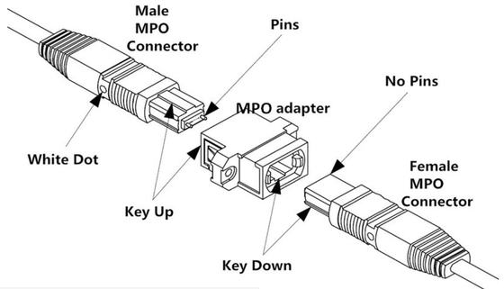 Однорежимный гибкий провод метра MPO прыгуна 32 одиночного режима ядра OS2 кабеля MPO 48 хобота волокна MTP